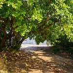 Elpida's Sea View Apartman
