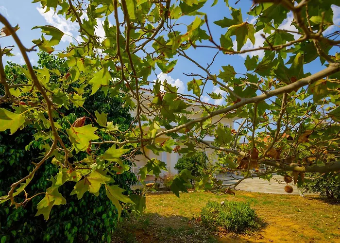 Apartamento Elpida's Sea View