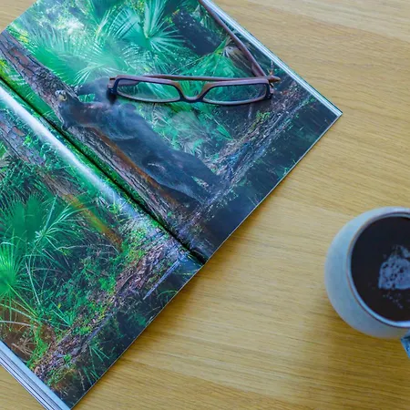 Elpida's Sea View דירה Petalídhion