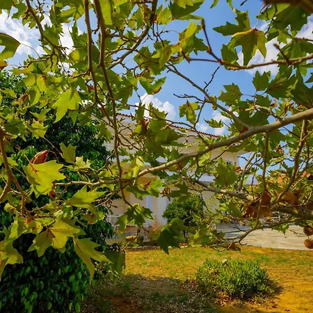 Apartman Elpida's Sea View