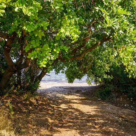 Elpida's Sea View דירה