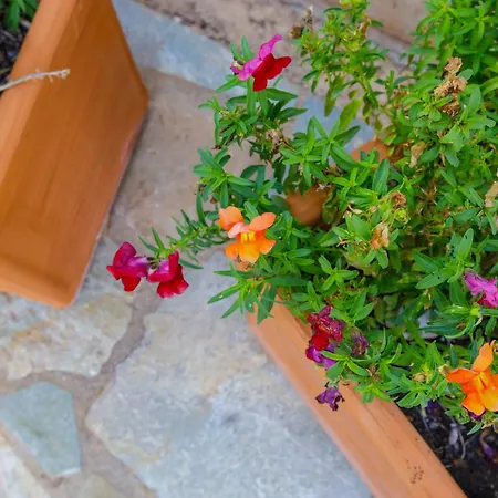 Elpida's Sea View Petalídhion