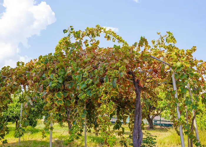 Elpida's Sea View Appartement Petalídhion