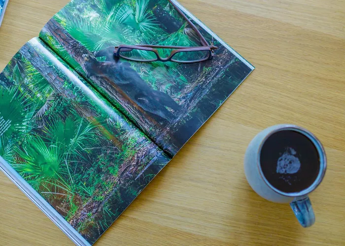 Elpida's Sea View Appartement Petalídhion