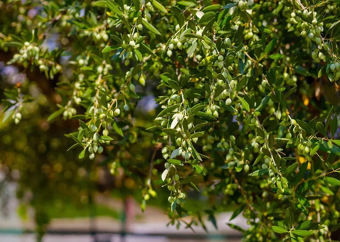 Elpida's Sea View Appartement *