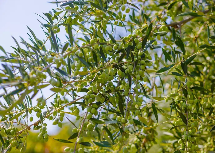 Elpida's Sea View Appartement