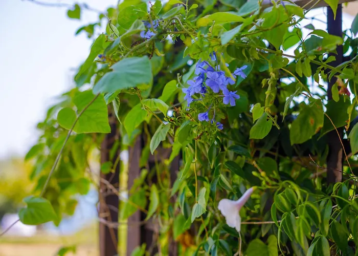 Appartement Elpida's Sea View