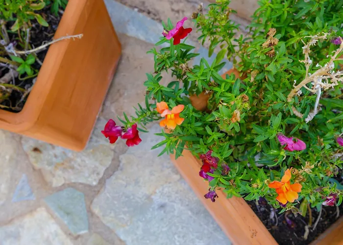 Elpida's Sea View Petalídhion